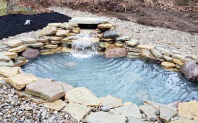 Do Water Features Attract Mosquitoes or Pests?