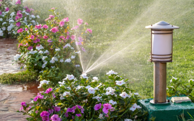 Designing a 4-Season Yard: Landscaping That Looks Good All Year