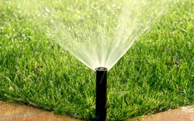 How Often Should I Water My Lawn in the Spring?