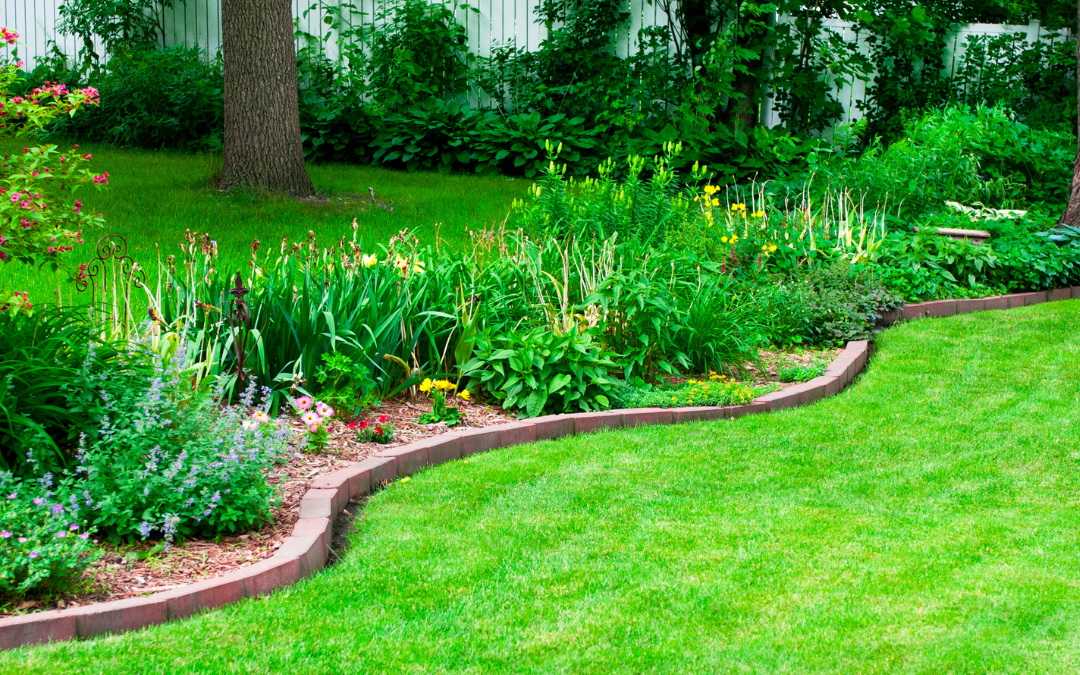 What Are the Best Ways to Protect My Lawn During a Heatwave?