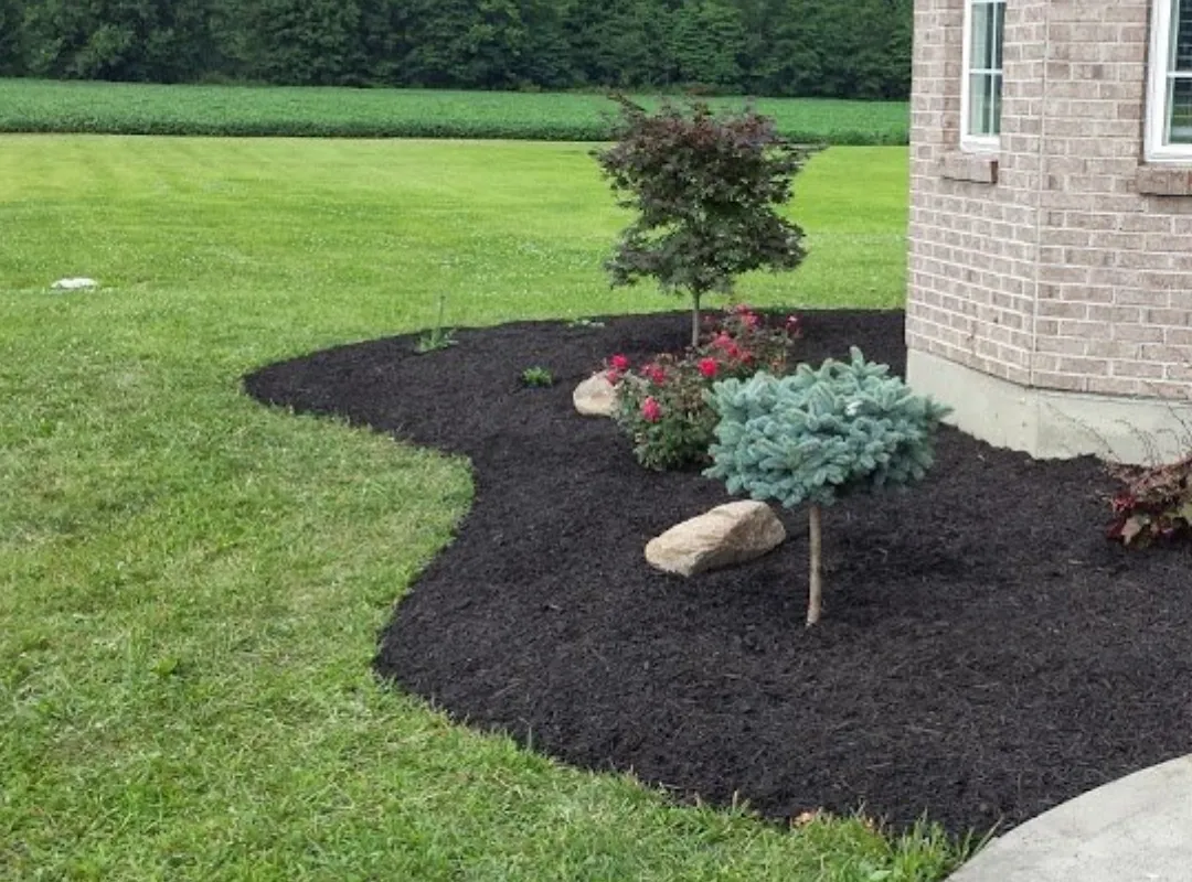 Milford Pressure Washing