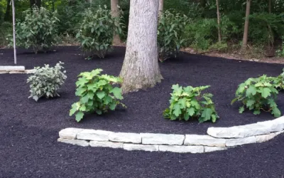 When Should I Mulch My Yard in the Spring?