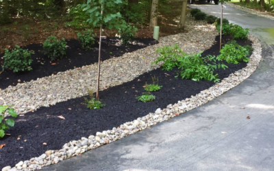 Why Regular Landscape Maintenance Is Essential for a Beautiful Yard