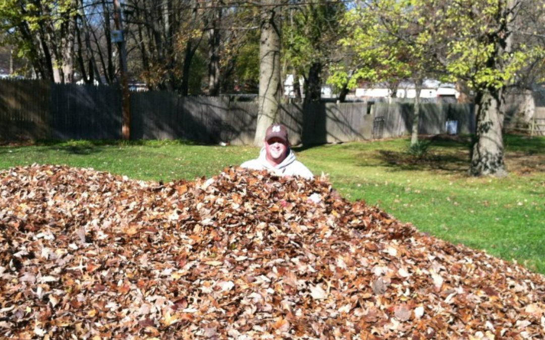 Is It Bad to Leave Leaves on My Lawn All Winter?