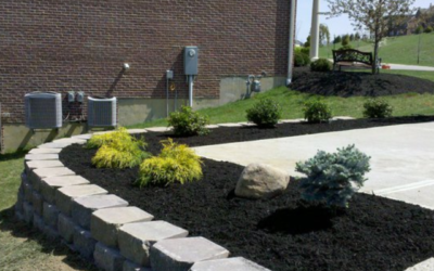 How Do I Prepare My Lawn for Spring?