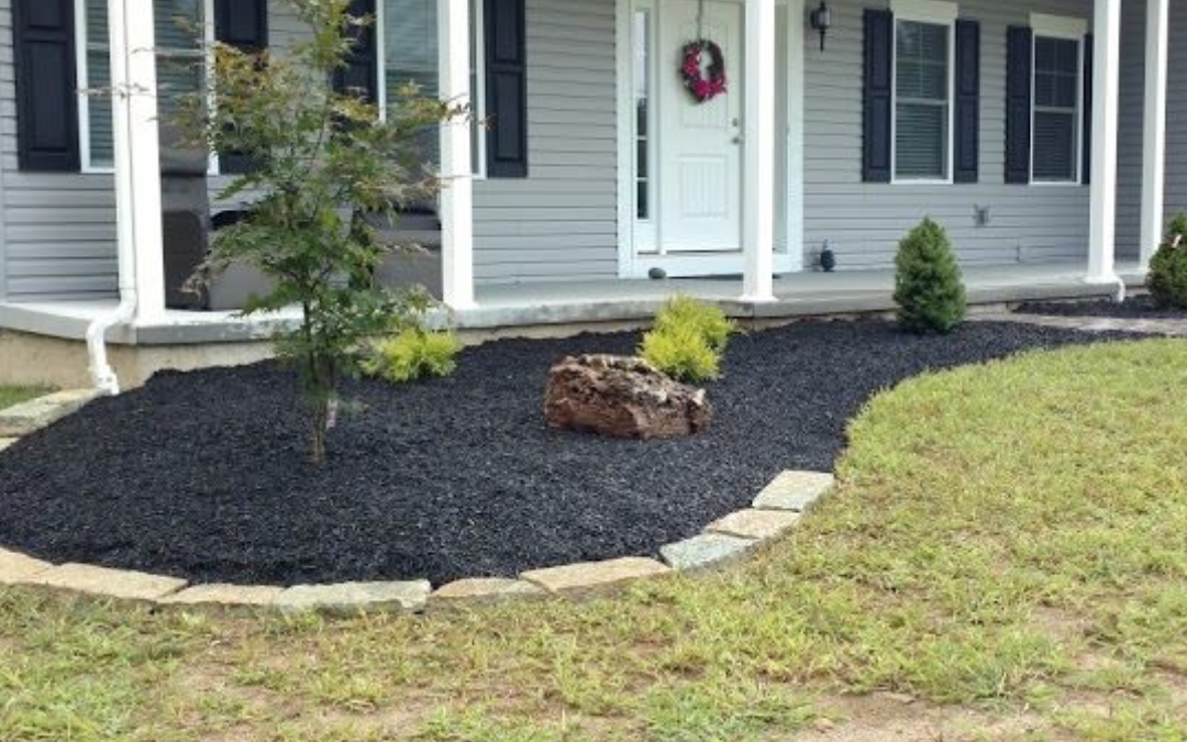 What Are Common Summer Lawn Problems?