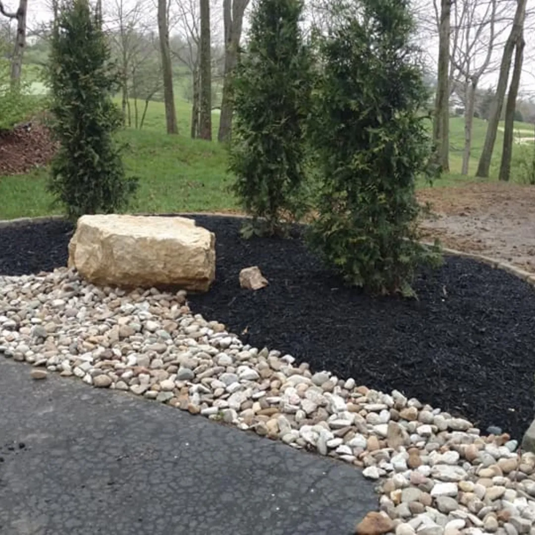 Tree Planting Services New England Pressure Cleaning